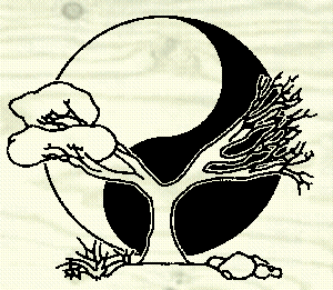 logo2.gif (18796 bytes)